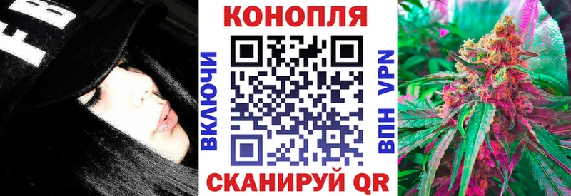 Где найти наркотики Гусев Амфетамин  Мефедрон  Псилоцибиновые грибы  Альфа ПВП  Cocaine 