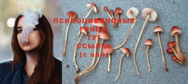 MDMA Premium VHQ Белокуриха