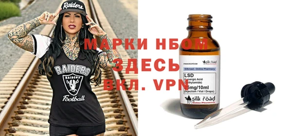 прущие грибы Сосновый Бор