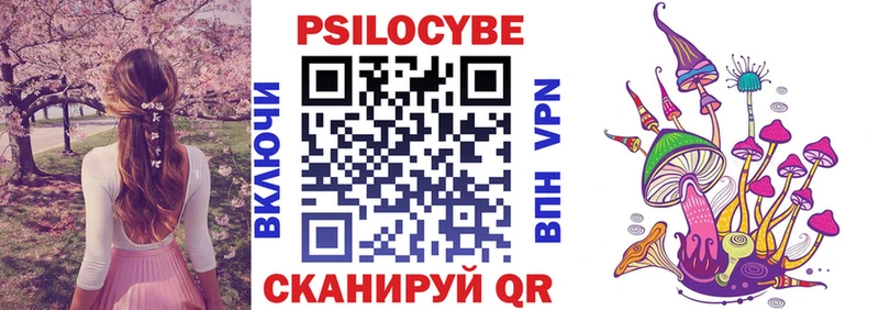 сколько стоит Гусев blacksprut зеркало Галлюциногенные грибы Psilocybine cubensis