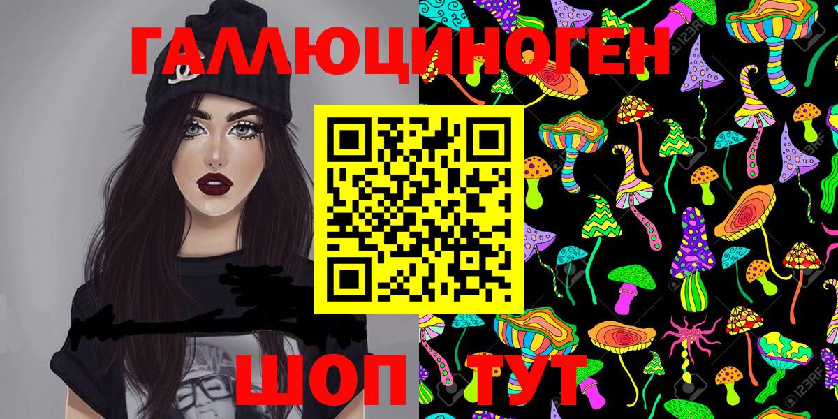 Галлюциногенные грибы Psilocybe Гусев