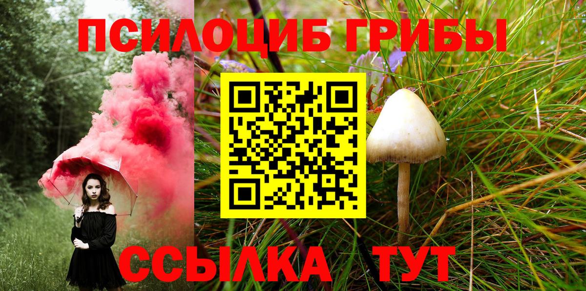 Гусев  Псилоцибиновые грибы Cubensis  Вход с VPN  Псилоцибиновые грибы ЛСД 