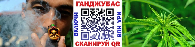 Бошки Шишки планчик  Гусев 